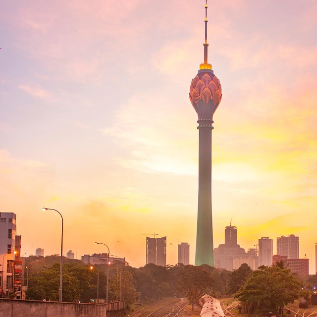 train coast scenic travel budget